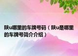 陜u哪里的車牌號(hào)碼（陜u是哪里的車牌號(hào)簡(jiǎn)介介紹）
