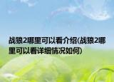 戰(zhàn)狼2哪里可以看介紹(戰(zhàn)狼2哪里可以看詳細情況如何)
