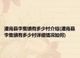 灌南縣李集鎮(zhèn)有多少村介紹(灌南縣李集鎮(zhèn)有多少村詳細(xì)情況如何)