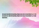 草蟲的村落(請發(fā)揮你的想象,想象作者在草蟲村落還看到什么?介紹 草蟲的村落 請發(fā)揮你的想象,想象作者在草蟲村落還看到什么?詳細情況如何)