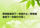 醉來脫寶劍下一句是什么（醉來脫寶劍下一句簡(jiǎn)介介紹）