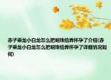 赤子乘龍小白龍怎么把明珠給弄懷孕了介紹(赤子乘龍小白龍怎么把明珠給弄懷孕了詳細情況如何)