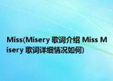 Miss(Misery 歌詞介紹 Miss Misery 歌詞詳細情況如何)