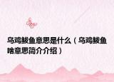 烏雞鲅魚意思是什么（烏雞鲅魚啥意思簡介介紹）