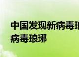 24小時(shí)快訊更新 中國發(fā)現(xiàn)新病毒瑯琊需要擔(dān)心嗎 人畜傳播新病毒瑯琊