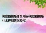 刺陵插曲是什么介紹(刺陵插曲是什么詳細情況如何)