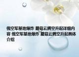 俄空軍基地爆炸 蘑菇云騰空升起詳細內容 俄空軍基地爆炸 蘑菇云騰空升起具體介紹