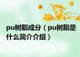 pu樹脂成分（pu樹脂是什么簡介介紹）