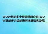 WOW怒焰多少級(jí)能進(jìn)啊介紹(WOW怒焰多少級(jí)能進(jìn)啊詳細(xì)情況如何)