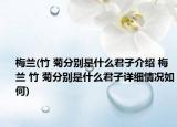 梅蘭(竹 菊分別是什么君子介紹 梅蘭 竹 菊分別是什么君子詳細(xì)情況如何)