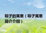 粽子的寓意（粽子寓意簡(jiǎn)介介紹）