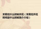 茉莉花什么時候開花（茉莉花開花時間是什么時候簡介介紹）