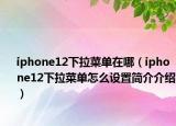 iphone12下拉菜單在哪（iphone12下拉菜單怎么設(shè)置簡(jiǎn)介介紹）