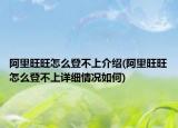 阿里旺旺怎么登不上介紹(阿里旺旺怎么登不上詳細(xì)情況如何)