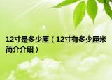 12寸是多少厘（12寸有多少厘米簡(jiǎn)介介紹）