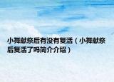小舞獻(xiàn)祭后有沒(méi)有復(fù)活（小舞獻(xiàn)祭后復(fù)活了嗎簡(jiǎn)介介紹）