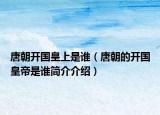 唐朝開國(guó)皇上是誰（唐朝的開國(guó)皇帝是誰簡(jiǎn)介介紹）