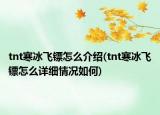tnt寒冰飛鏢怎么介紹(tnt寒冰飛鏢怎么詳細(xì)情況如何)