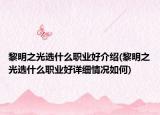 黎明之光選什么職業(yè)好介紹(黎明之光選什么職業(yè)好詳細(xì)情況如何)