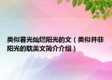 類似暮光燦爛陽光的文（類似并非陽光的耽美文簡介介紹）