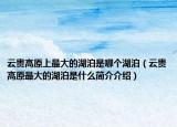 云貴高原上最大的湖泊是哪個湖泊（云貴高原最大的湖泊是什么簡介介紹）