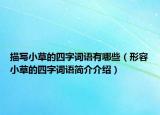 描寫(xiě)小草的四字詞語(yǔ)有哪些（形容小草的四字詞語(yǔ)簡(jiǎn)介介紹）