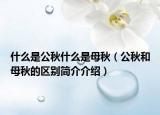 什么是公秋什么是母秋（公秋和母秋的區(qū)別簡介介紹）