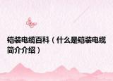 鎧裝電纜百科（什么是鎧裝電纜簡介介紹）