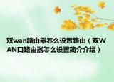 雙wan路由器怎么設(shè)置路由（雙WAN口路由器怎么設(shè)置簡(jiǎn)介介紹）