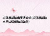 求狂暴戰(zhàn)輸出手法介紹(求狂暴戰(zhàn)輸出手法詳細(xì)情況如何)