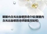 暖暖內(nèi)含光出自哪首詩介紹(暖暖內(nèi)含光出自哪首詩詳細情況如何)