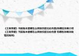 《王者榮耀》當(dāng)前版本露娜怎么釋放技能比較合理(有哪些攻略介紹 《王者榮耀》當(dāng)前版本露娜怎么釋放技能比較合理 有哪些攻略詳細(xì)情況如何)
