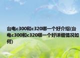 臺(tái)電c300和c320哪一個(gè)好介紹(臺(tái)電c300和c320哪一個(gè)好詳細(xì)情況如何)