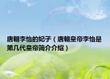 唐朝李怡的妃子（唐朝皇帝李怡是第幾代皇帝簡介介紹）