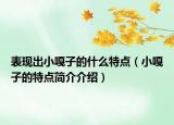 表現(xiàn)出小嘎子的什么特點（小嘎子的特點簡介介紹）