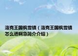 洛克王國(guó)楓雪鎮(zhèn)（洛克王國(guó)楓雪鎮(zhèn)怎么進(jìn)啊急簡(jiǎn)介介紹）