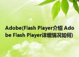 Adobe(Flash Player介紹 Adobe Flash Player詳細(xì)情況如何)