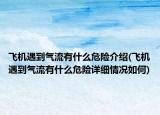 飛機(jī)遇到氣流有什么危險(xiǎn)介紹(飛機(jī)遇到氣流有什么危險(xiǎn)詳細(xì)情況如何)