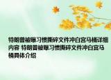 特朗普被曝習(xí)慣撕碎文件沖白宮馬桶詳細(xì)內(nèi)容 特朗普被曝習(xí)慣撕碎文件沖白宮馬桶具體介紹