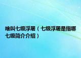 啥叫七級(jí)浮屠（七級(jí)浮屠是指哪七級(jí)簡(jiǎn)介介紹）