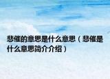 悲催的意思是什么意思（悲催是什么意思簡(jiǎn)介介紹）