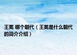 王冕 哪個(gè)朝代（王冕是什么朝代的簡(jiǎn)介介紹）