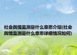 社會(huì)輿情監(jiān)測(cè)是什么意思介紹(社會(huì)輿情監(jiān)測(cè)是什么意思詳細(xì)情況如何)