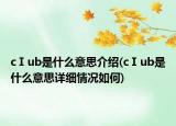cⅠub是什么意思介紹(cⅠub是什么意思詳細(xì)情況如何)
