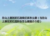 在山上遇到泥石流我們該怎么做（當(dāng)在山上遇見泥石流時會怎么做簡介介紹）