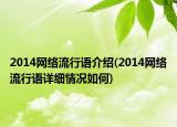 2014網(wǎng)絡(luò)流行語介紹(2014網(wǎng)絡(luò)流行語詳細(xì)情況如何)