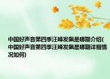 中國(guó)好聲音第四季汪峰發(fā)飆是哪期介紹(中國(guó)好聲音第四季汪峰發(fā)飆是哪期詳細(xì)情況如何)