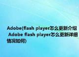 Adobe(flash player怎么更新介紹 Adobe flash player怎么更新詳細(xì)情況如何)