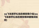 qq飛車新手禮包在哪里領(lǐng)介紹(qq飛車新手禮包在哪里領(lǐng)詳細(xì)情況如何)