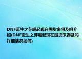DNF誕生之芽崛起現(xiàn)在囤貨來得及嗎介紹(DNF誕生之芽崛起現(xiàn)在囤貨來得及嗎詳細(xì)情況如何)